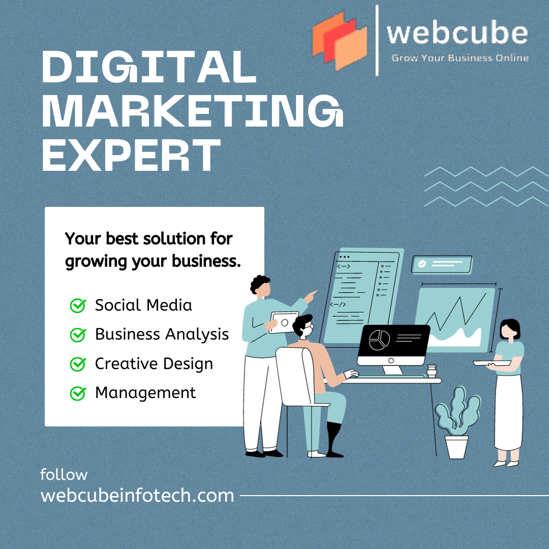 WebCube: Marketing Prowess in Delhi